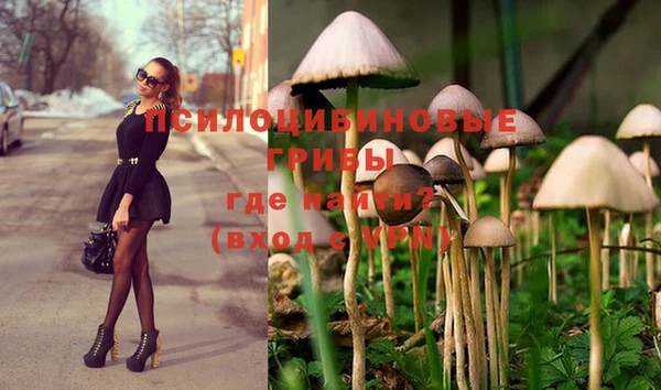 гашик Бугульма