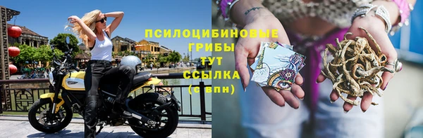гашик Бугульма