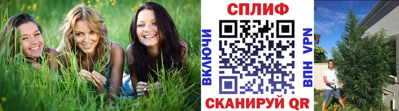 Шишки марихуана семена  купить наркотики цена  Зима 